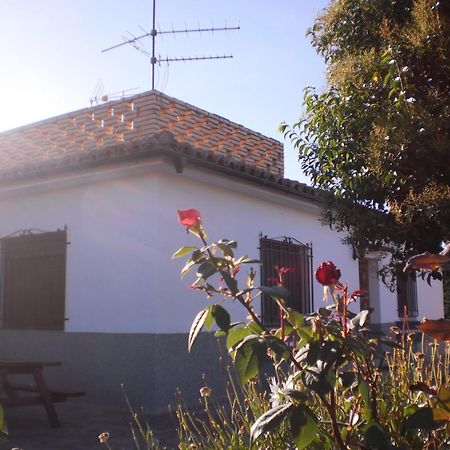 Casa Los Olivos Grávalos Dış mekan fotoğraf