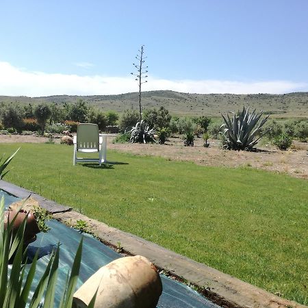 Casa Los Olivos Grávalos Dış mekan fotoğraf
