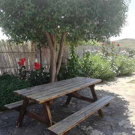 Casa Los Olivos Grávalos Dış mekan fotoğraf