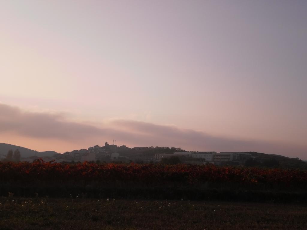 Casa Los Olivos Grávalos Dış mekan fotoğraf