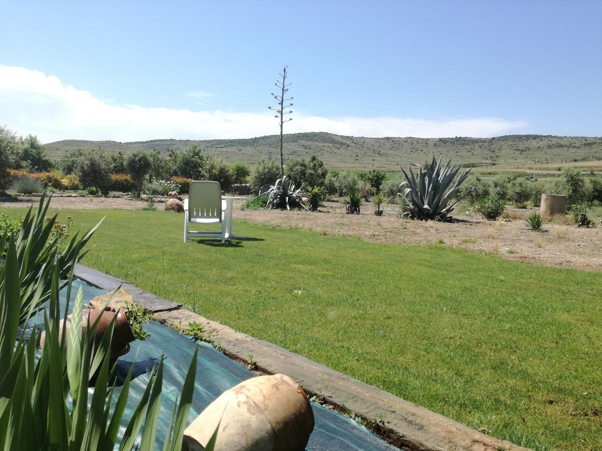Casa Los Olivos Grávalos Dış mekan fotoğraf