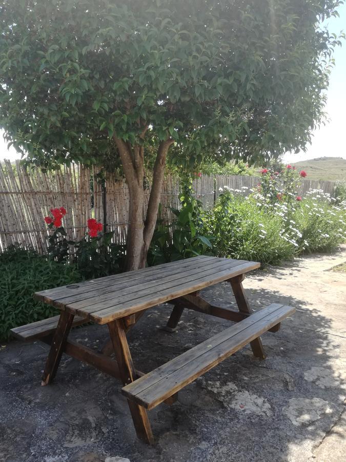 Casa Los Olivos Grávalos Dış mekan fotoğraf